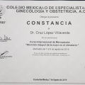 Ampliar imagen: certificate 1