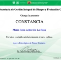 Ampliar imagen: certificate 7