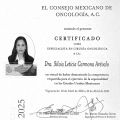 Ampliar imagen: certificate 21