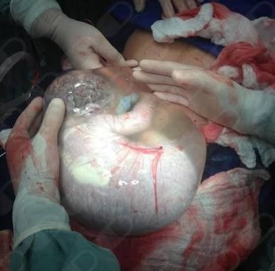 David Arceo Venegas-3