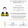 Ampliar imagen: certificate 3