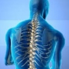 Dr. Sergio Alberto Soto González