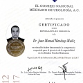 Ampliar imagen: certificate 1