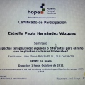 Ampliar imagen: certificate 4