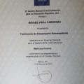Ampliar imagen: certificate 8