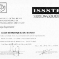 Ampliar imagen: certificate 10
