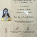 Ampliar imagen: certificate 2