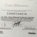 Ampliar imagen: certificate 21