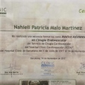 Ampliar imagen: certificate 13