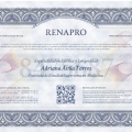 Ampliar imagen: certificate 2
