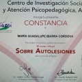 Ampliar imagen: certificate 4