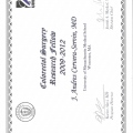 Ampliar imagen: certificate 5