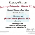 Ampliar imagen: certificate 1