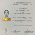 Ampliar imagen: certificate 3