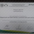 Ampliar imagen: certificate 6