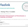 Ampliar imagen: certificate 6