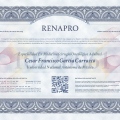 Ampliar imagen: certificate 4