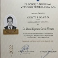 Ampliar imagen: certificate 1