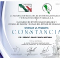 Ampliar imagen: certificate 17