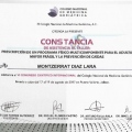 Ampliar imagen: certificate 5