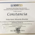 Ampliar imagen: certificate 3