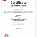 Ampliar imagen: certificate 12