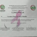 Ampliar imagen: certificate 43