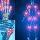 Dra. Yaneth R. Barragán Navarro