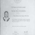 Ampliar imagen: certificate 3