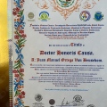 Ampliar imagen: certificate 20