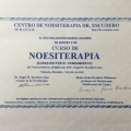Ampliar imagen: certificate 8