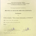 Ampliar imagen: certificate 10
