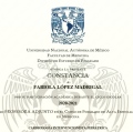 Ampliar imagen: certificate 16