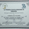 Ampliar imagen: certificate 4