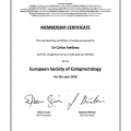 Ampliar imagen: certificate 3