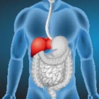 Dra. María Teresa Guzmán Terrones