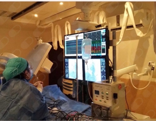 Fabiola Suárez Téllez-7