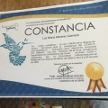 Ampliar imagen: certificate 9