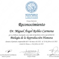 Ampliar imagen: certificate 13