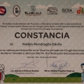 Ampliar imagen: certificate 4