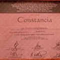 Ampliar imagen: certificate 13