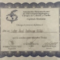 Ampliar imagen: certificate 3