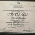 Ampliar imagen: certificate 2
