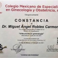Ampliar imagen: certificate 22