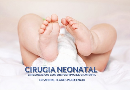 Anibal Enrique Flores Plascencia-3