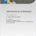 Ampliar imagen: certificate 4
