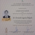 Ampliar imagen: certificate 9