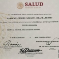 Ampliar imagen: certificate 8