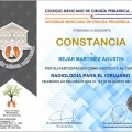 Ampliar imagen: certificate 9