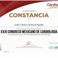 Ampliar imagen: certificate 11
